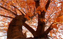 ddos服务器攻击手段