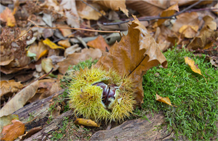 免费ddos在线攻击