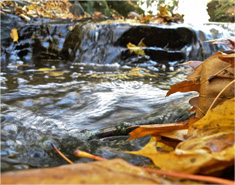 网站ddos隐藏源ip